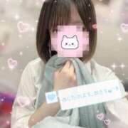 ヒメ日記 2025/11/18 16:15 投稿 ねむ ハンドキャンパス新宿