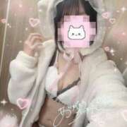 ヒメ日記 2026/03/09 08:46 投稿 ねむ ハンドキャンパス新宿