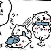 ヒメ日記 2026/04/13 03:06 投稿 ねむ ハンドキャンパス新宿