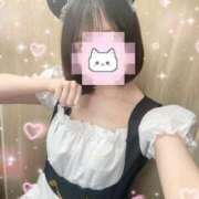 ヒメ日記 2026/07/15 21:14 投稿 ねむ ハンドキャンパス新宿
