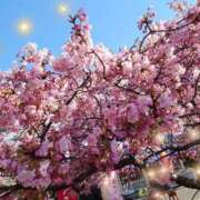 ヒメ日記 2025/03/05 17:20 投稿 青山 上野CLUB A(クラブ エー)