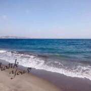 ヒメ日記 2025/04/10 14:31 投稿 青山 上野CLUB A(クラブ エー)