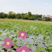 ヒメ日記 2025/05/24 15:40 投稿 青山 上野CLUB A(クラブ エー)