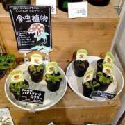 ヒメ日記 2025/07/21 10:40 投稿 青山 上野CLUB A(クラブ エー)