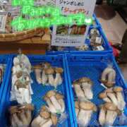 青山 大きさだけが大事なわけじゃないけれど 上野CLUB A(クラブ エー)