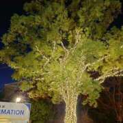 ヒメ日記 2025/12/17 13:20 投稿 青山 上野CLUB A(クラブ エー)