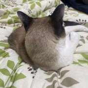 ヒメ日記 2025/02/10 12:02 投稿 いちる 奥様はエンジェル　立川店