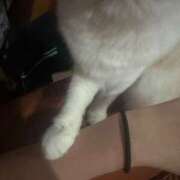 ヒメ日記 2025/08/22 11:54 投稿 ☆えりか☆ 100％本人が来る店！！デリヘル『ロイヤルフラッシュ』