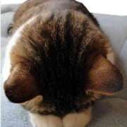 ヒメ日記 2025/11/23 17:28 投稿 さくら マダム可憐