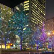 さくら こんばんは マダム可憐