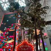 ヒメ日記 2025/12/10 11:13 投稿 さくら マダム可憐