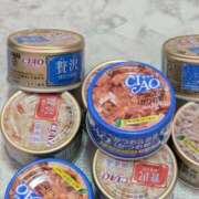 ヒメ日記 2025/05/22 15:50 投稿 あめ 奥様特急新潟店