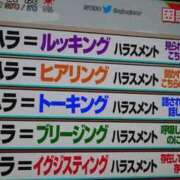 ヒメ日記 2025/05/26 14:03 投稿 あめ 奥様特急三条店