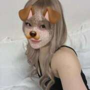 ヒメ日記 2025/11/15 15:14 投稿 のい 部活（ぶかつ）