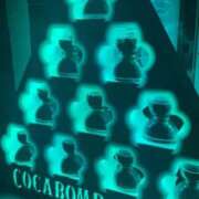 ヒメ日記 2026/01/15 17:59 投稿 のい 部活（ぶかつ）