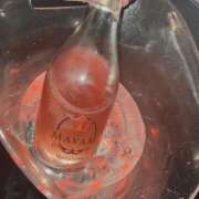 ヒメ日記 2026/01/15 18:03 投稿 のい 部活（ぶかつ）