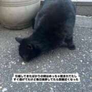 ヒメ日記 2026/01/17 17:54 投稿 のい 部活（ぶかつ）