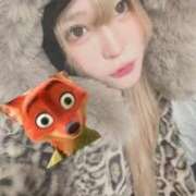 ヒメ日記 2026/01/31 19:50 投稿 のい 部活（ぶかつ）