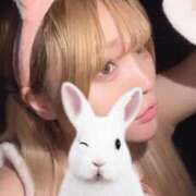 ヒメ日記 2026/02/12 18:19 投稿 のい 部活（ぶかつ）