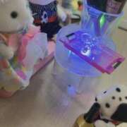 ヒメ日記 2026/02/17 16:24 投稿 のい 部活（ぶかつ）