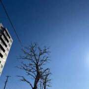 ヒメ日記 2025/01/14 06:57 投稿 徳永梨沙子 お姉さんCLUB