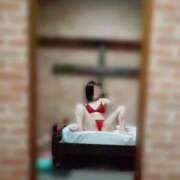 ヒメ日記 2025/07/03 09:00 投稿 こはく 無我（むが）