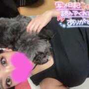 ヒメ日記 2026/01/05 15:18 投稿 のぞみ ルーフ福井