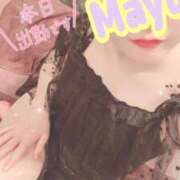 ヒメ日記 2025/09/08 05:33 投稿 まゆ ニューグランド