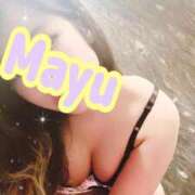 ヒメ日記 2025/09/11 05:56 投稿 まゆ ニューグランド