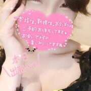 ヒメ日記 2025/10/20 05:29 投稿 まゆ ニューグランド