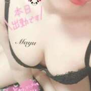 ヒメ日記 2025/11/17 05:36 投稿 まゆ ニューグランド