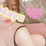 ヒメ日記 2025/11/20 06:21 投稿 まゆ ニューグランド