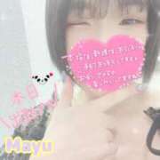 ヒメ日記 2026/02/15 05:33 投稿 まゆ ニューグランド