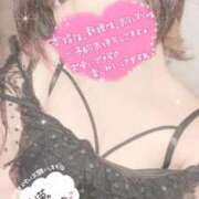 ヒメ日記 2026/03/26 06:13 投稿 まゆ ニューグランド