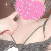 ヒメ日記 2026/03/28 06:14 投稿 まゆ ニューグランド