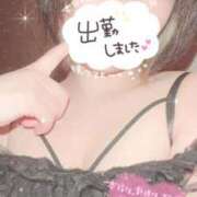 ヒメ日記 2026/04/05 06:14 投稿 まゆ ニューグランド