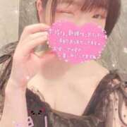 ヒメ日記 2026/04/09 05:23 投稿 まゆ ニューグランド