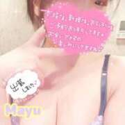 ヒメ日記 2026/04/11 06:19 投稿 まゆ ニューグランド