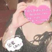 ヒメ日記 2026/04/14 06:13 投稿 まゆ ニューグランド