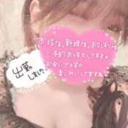 ヒメ日記 2026/06/29 06:15 投稿 まゆ ニューグランド
