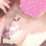 ヒメ日記 2026/07/26 05:38 投稿 まゆ ニューグランド