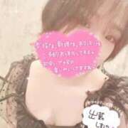 ヒメ日記 2026/07/31 07:14 投稿 まゆ ニューグランド