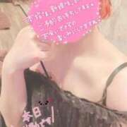ヒメ日記 2026/08/11 05:33 投稿 まゆ ニューグランド