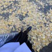 ヒメ日記 2024/12/12 18:05 投稿 今井優里 プレジデントハウス