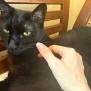 ヒメ日記 2025/04/12 09:49 投稿 今井優里 プレジデントハウス