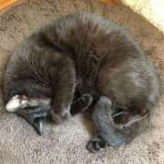 ヒメ日記 2025/08/26 20:54 投稿 今井優里 プレジデントハウス