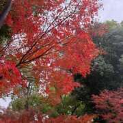 ヒメ日記 2025/12/03 22:01 投稿 今井優里 プレジデントハウス