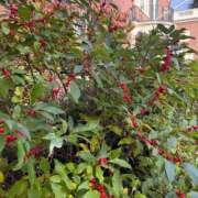 ヒメ日記 2025/12/15 19:15 投稿 今井優里 プレジデントハウス