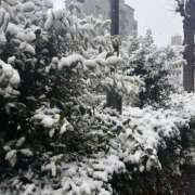 今井優里 明日 プレジデントハウス