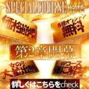 ヒメ日記 2026/03/18 11:53 投稿 るな【ドMなハーフっ娘】 ポニーテール和歌山店